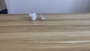 Mini picador eléctrico USB recargable