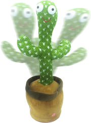 Cactus baila y graba para niños