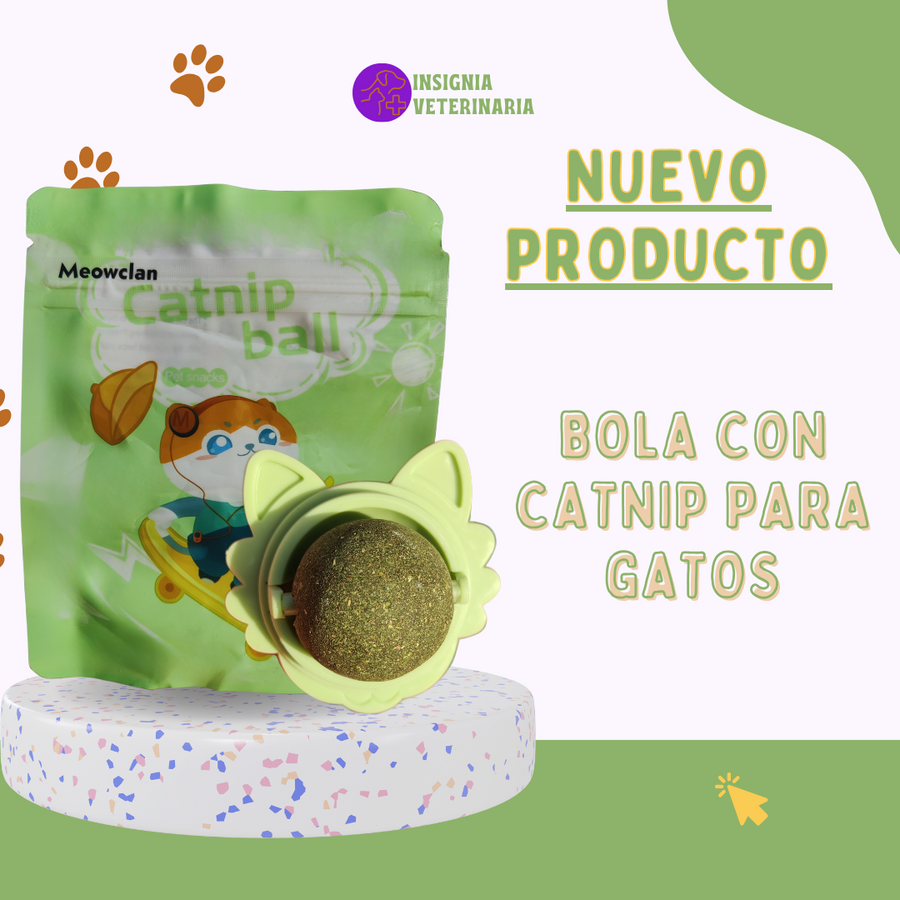 Convierte cualquier pared en juego