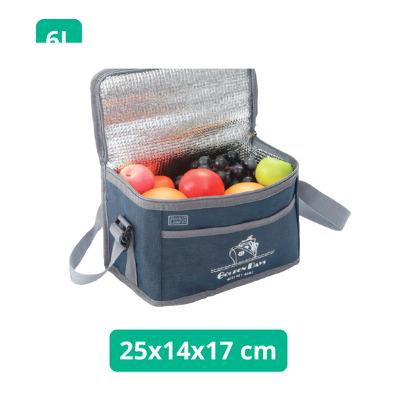 Nevera isotérmica 6L portátil