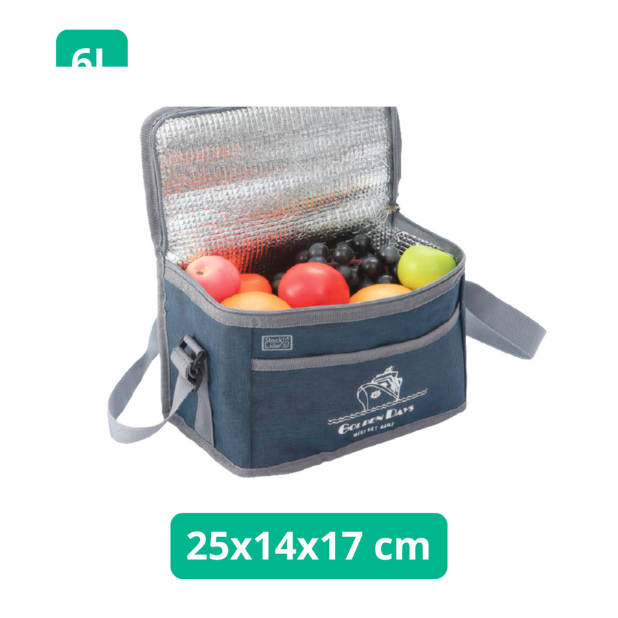Nevera isotérmica 6L portátil