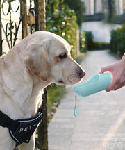 Bebedero para mascotas portátil