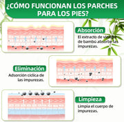 Parches Bambu Kinoki Detox para pies
