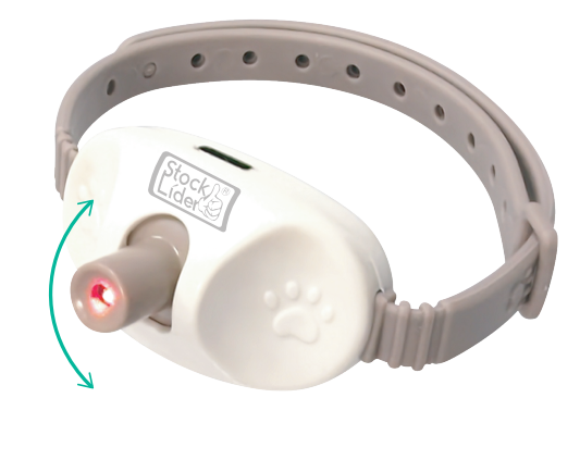 Collar láser para mascotas recargable