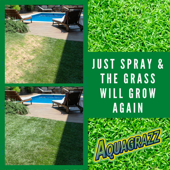 Aquagrazz Refill para césped denso