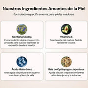 Base de maquillaje 5 en 1 adaptable