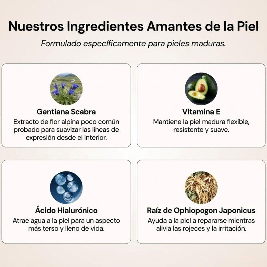 Base de maquillaje 5 en 1 adaptable