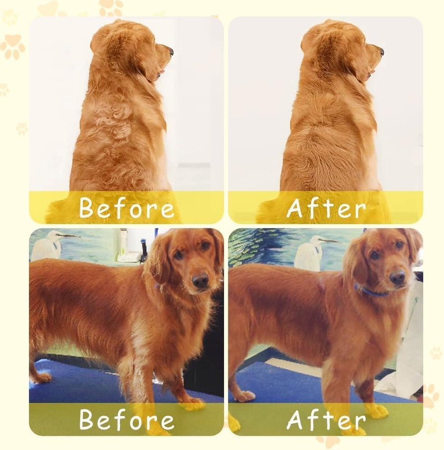 Cepillo de vapor para mascotas | Novarso