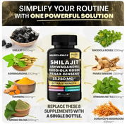 Shilajit Ashwagandha Rhodiola Ginseng