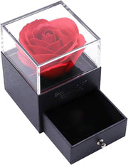 Rosa Eterna con Collar en Cúpula