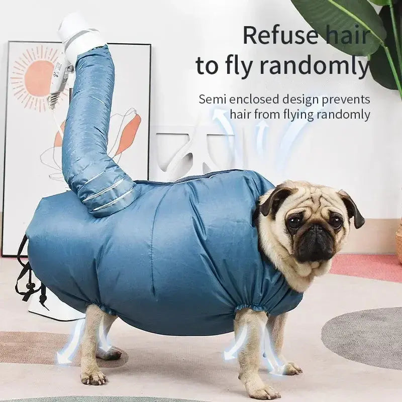 Seca a tu mascota sin líos